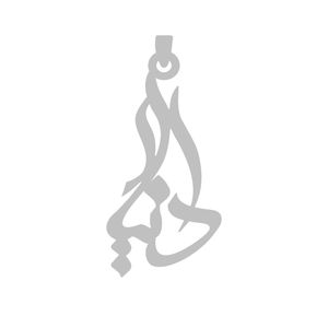 آویز گردنبند نقره گالری طلا و جواهر اپال طرح اسم دانیار